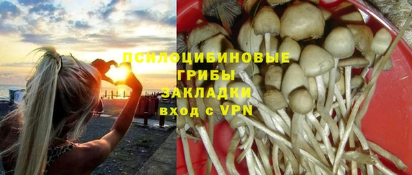соль ск Видное