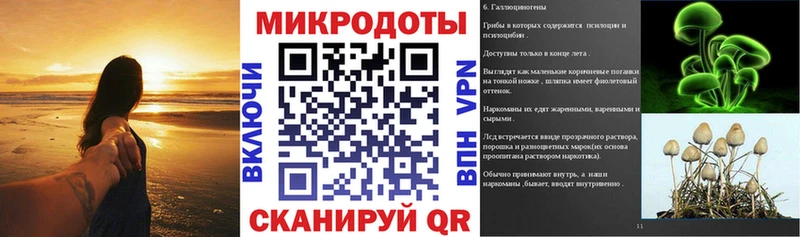 Псилоцибиновые грибы GOLDEN TEACHER Каргополь